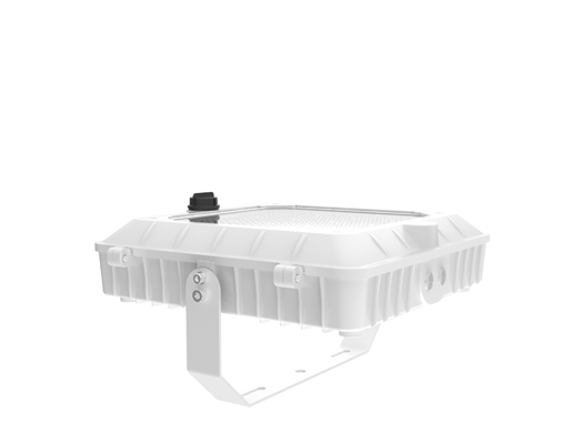 Mua 120-277V 50/60Hz Input Voltage LED Canopy Light With And Impact Resistance IK 07 Màu trắng sản xuất trực tuyến